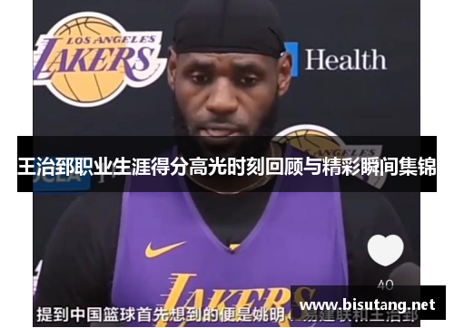 王治郅职业生涯得分高光时刻回顾与精彩瞬间集锦