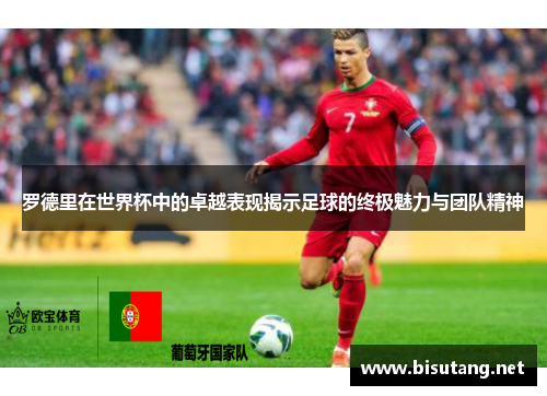 罗德里在世界杯中的卓越表现揭示足球的终极魅力与团队精神