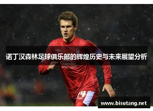诺丁汉森林足球俱乐部的辉煌历史与未来展望分析
