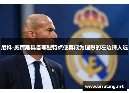 尼科-威廉斯具备哪些特点使其成为理想的左边锋人选