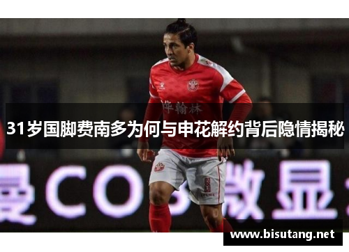 31岁国脚费南多为何与申花解约背后隐情揭秘