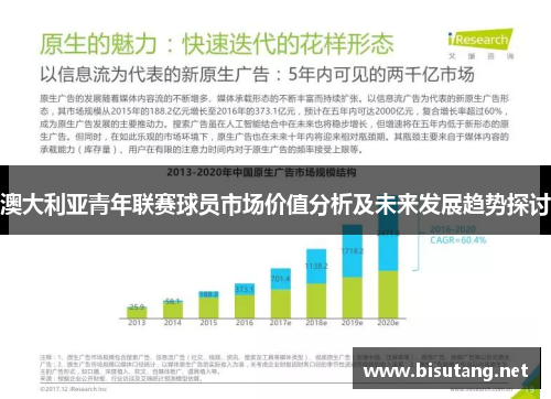 澳大利亚青年联赛球员市场价值分析及未来发展趋势探讨