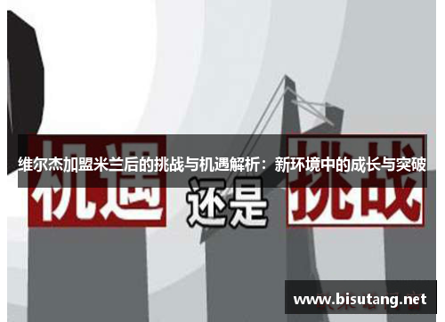维尔杰加盟米兰后的挑战与机遇解析：新环境中的成长与突破