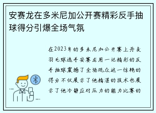 安赛龙在多米尼加公开赛精彩反手抽球得分引爆全场气氛