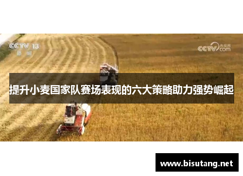 提升小麦国家队赛场表现的六大策略助力强势崛起