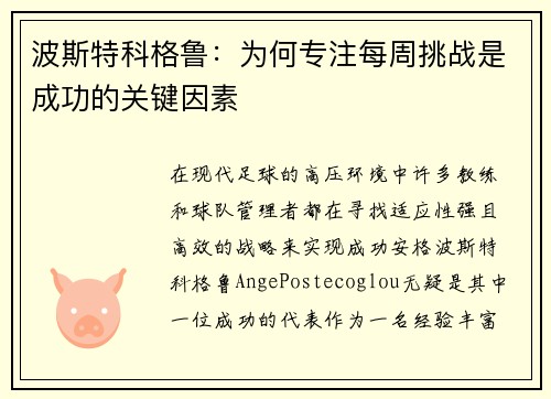 波斯特科格鲁：为何专注每周挑战是成功的关键因素